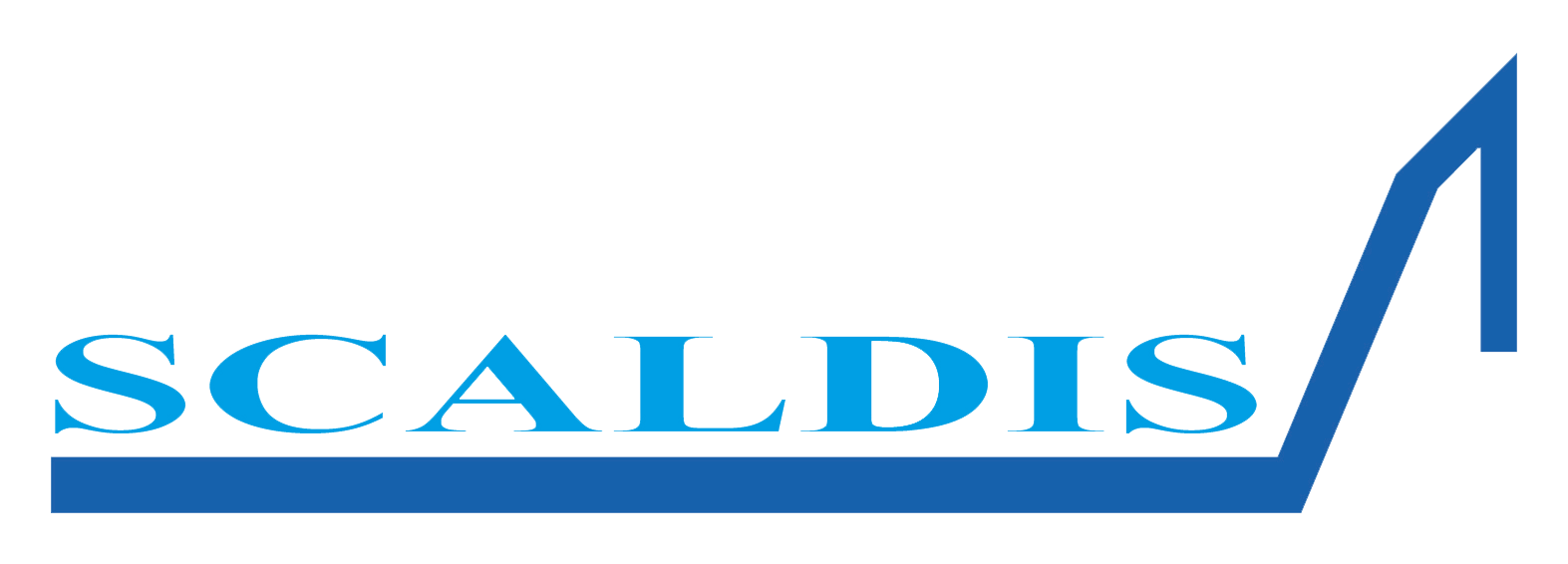 Scaldis Cmyk Znd Tagline